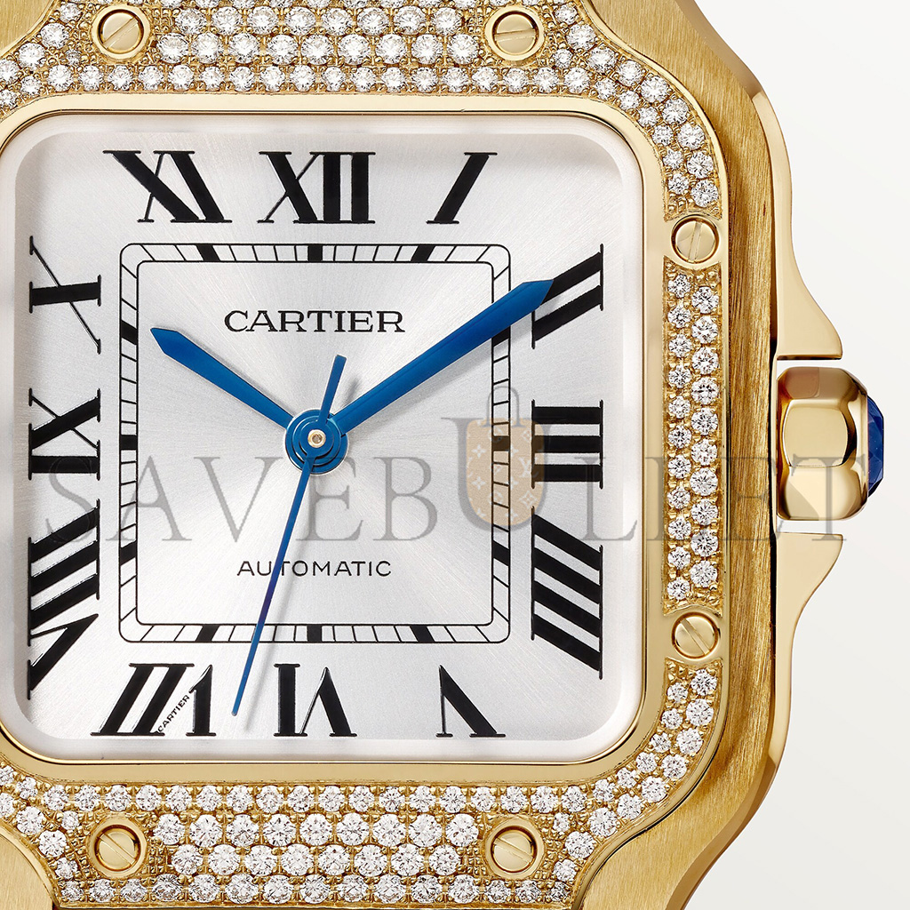 Ca*t*er santos de watch wjsa0010